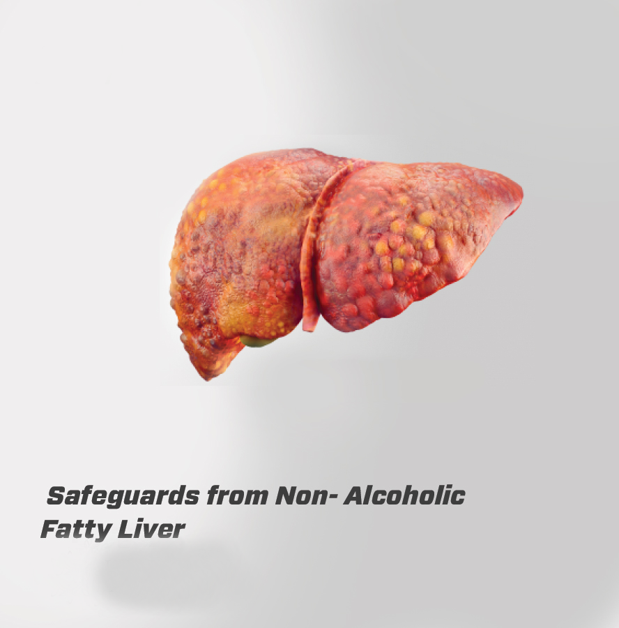 Best Ayurvedic Medicine Online Treatment for Fatty Liver Kidney & Liver Cirrhosis