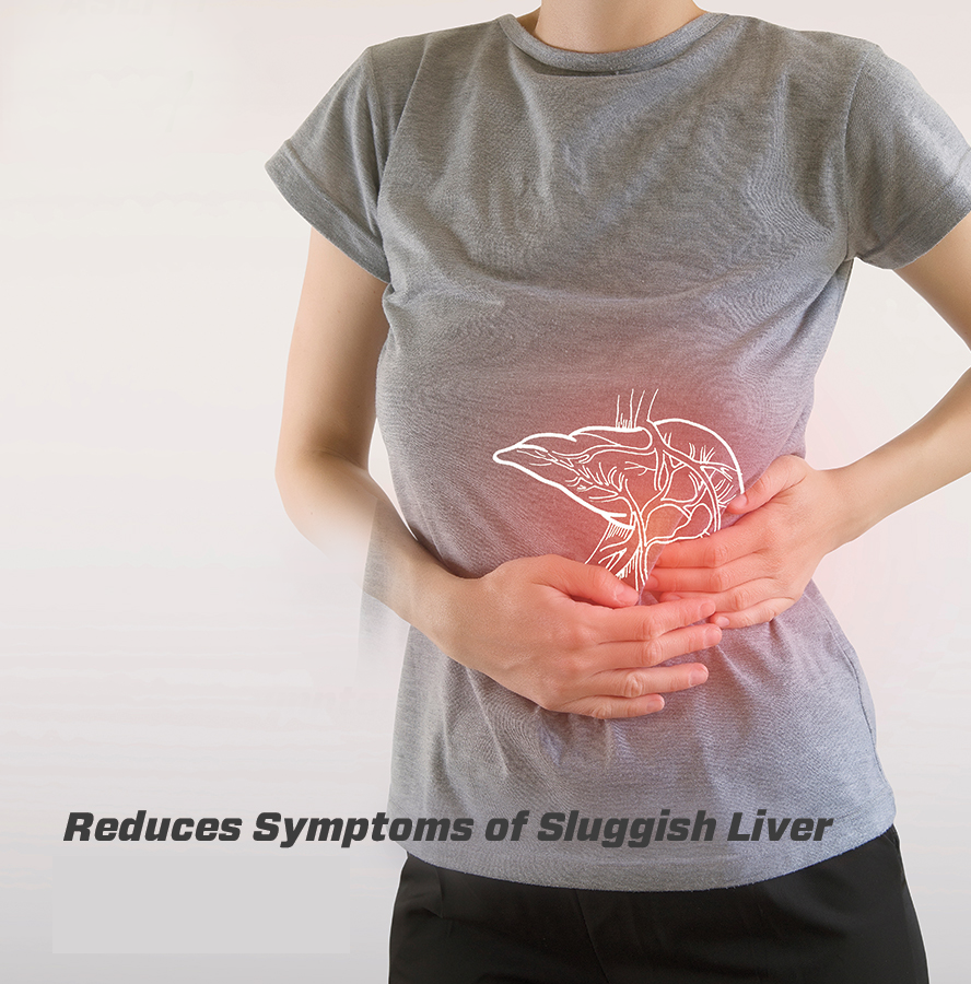 Best Ayurvedic Medicine Online Treatment for Fatty Liver Kidney & Liver Cirrhosis