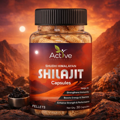 Active Ayurvedic Life – Best Ayurvedic Medicine for Himalyan Shilajit